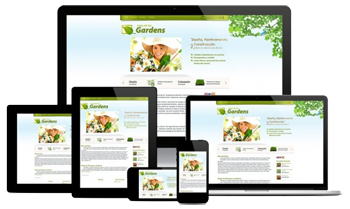 Website Design